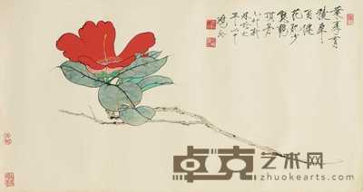唐鸿 花卉 镜心 36×67cm